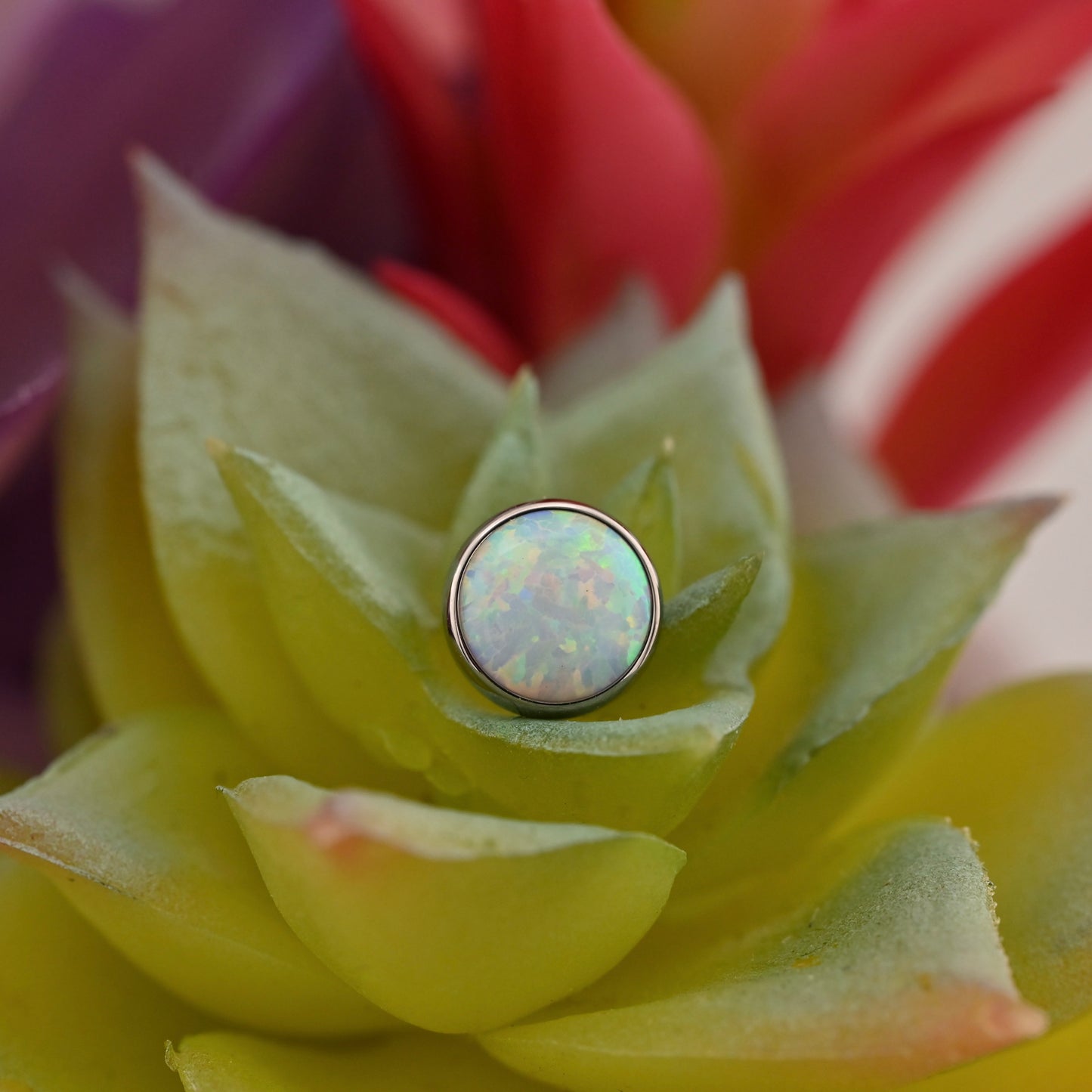 IS Titanium 14g Threaded Bezel Set Gem - 6mm