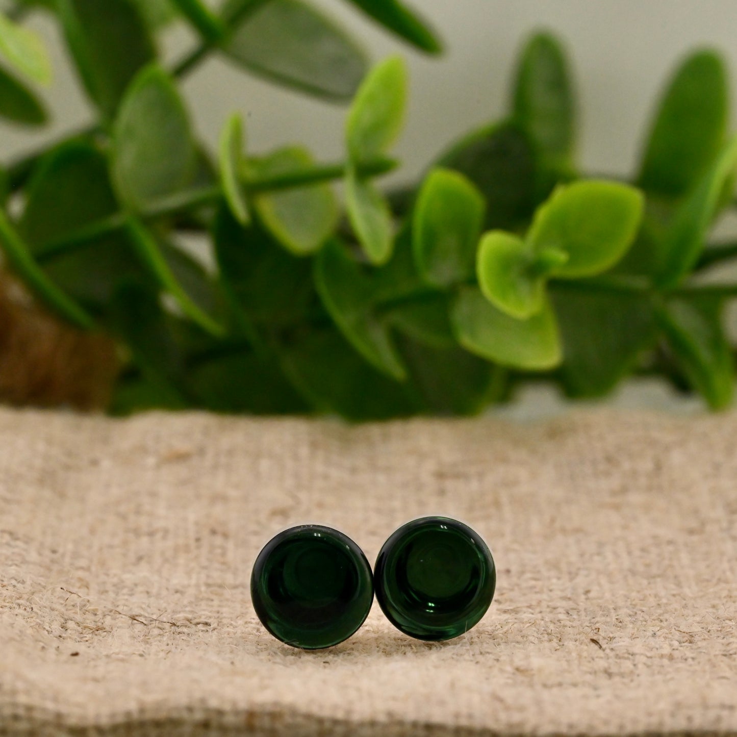 Single Flare Colorfront Plugs -  Pair