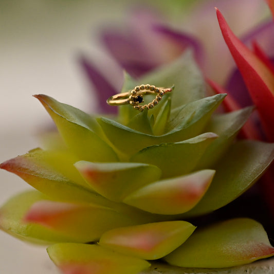 Fixed Ring with Sophie Tear - Navel Orientation
