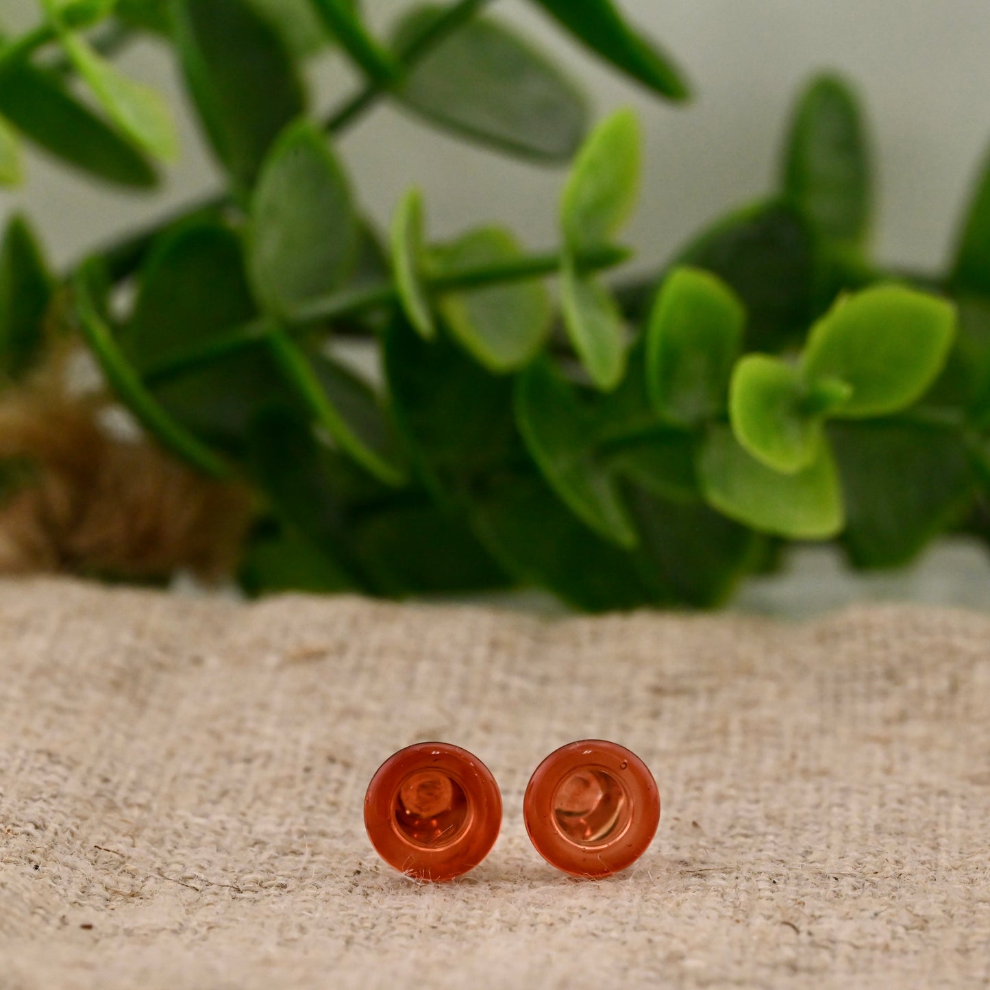 Single Flare Colorfront Plugs -  Pair