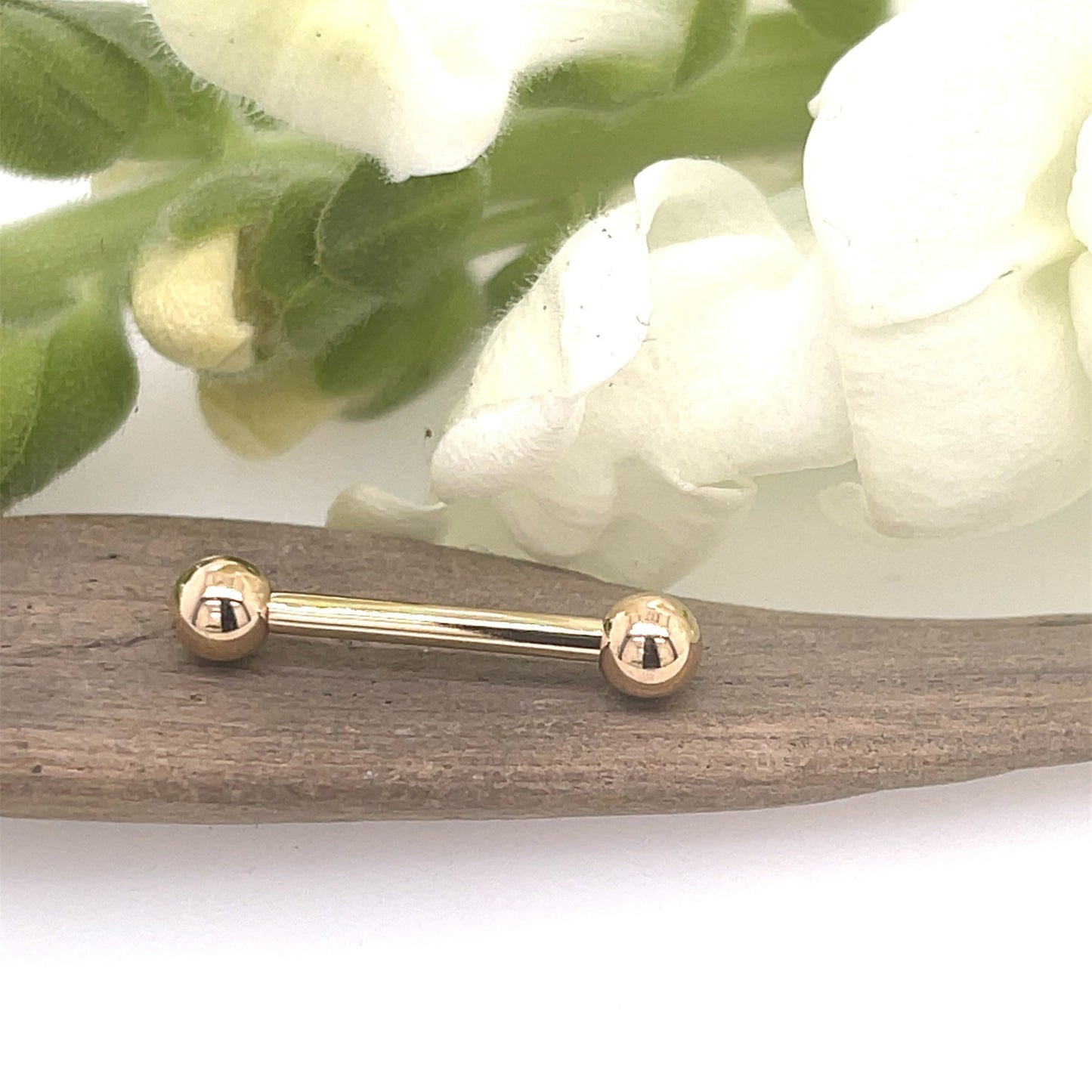 14g Threaded Barbells - 14K Gold - Agave in Bloom