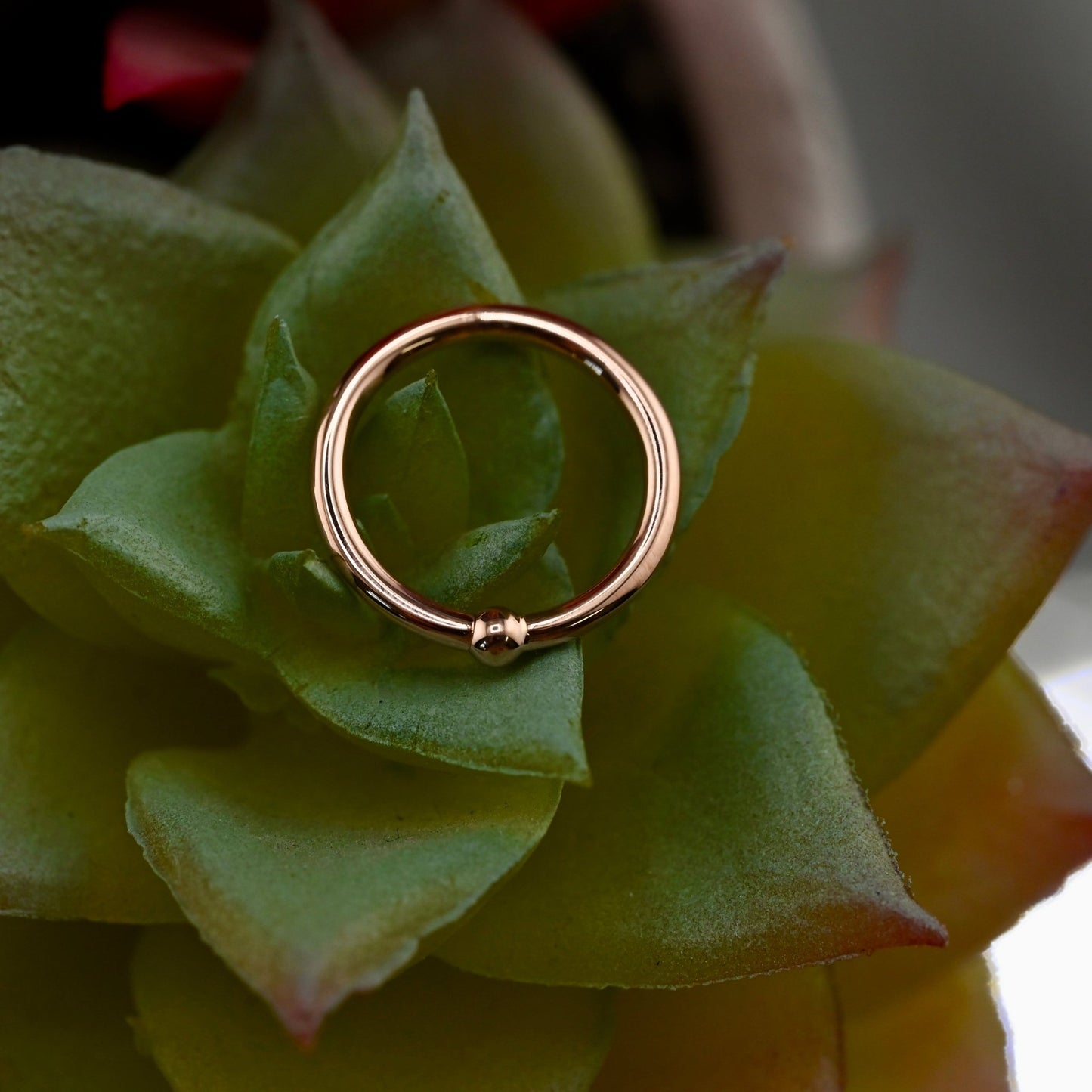 16g Fixed Bead Ring with 2mm Bead - Agave in Bloom