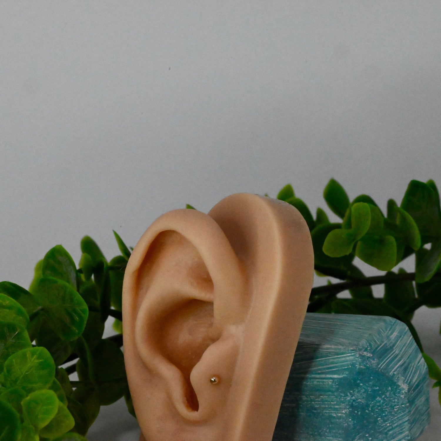 18K Threadless 1/8" Ball - Agave in Bloom