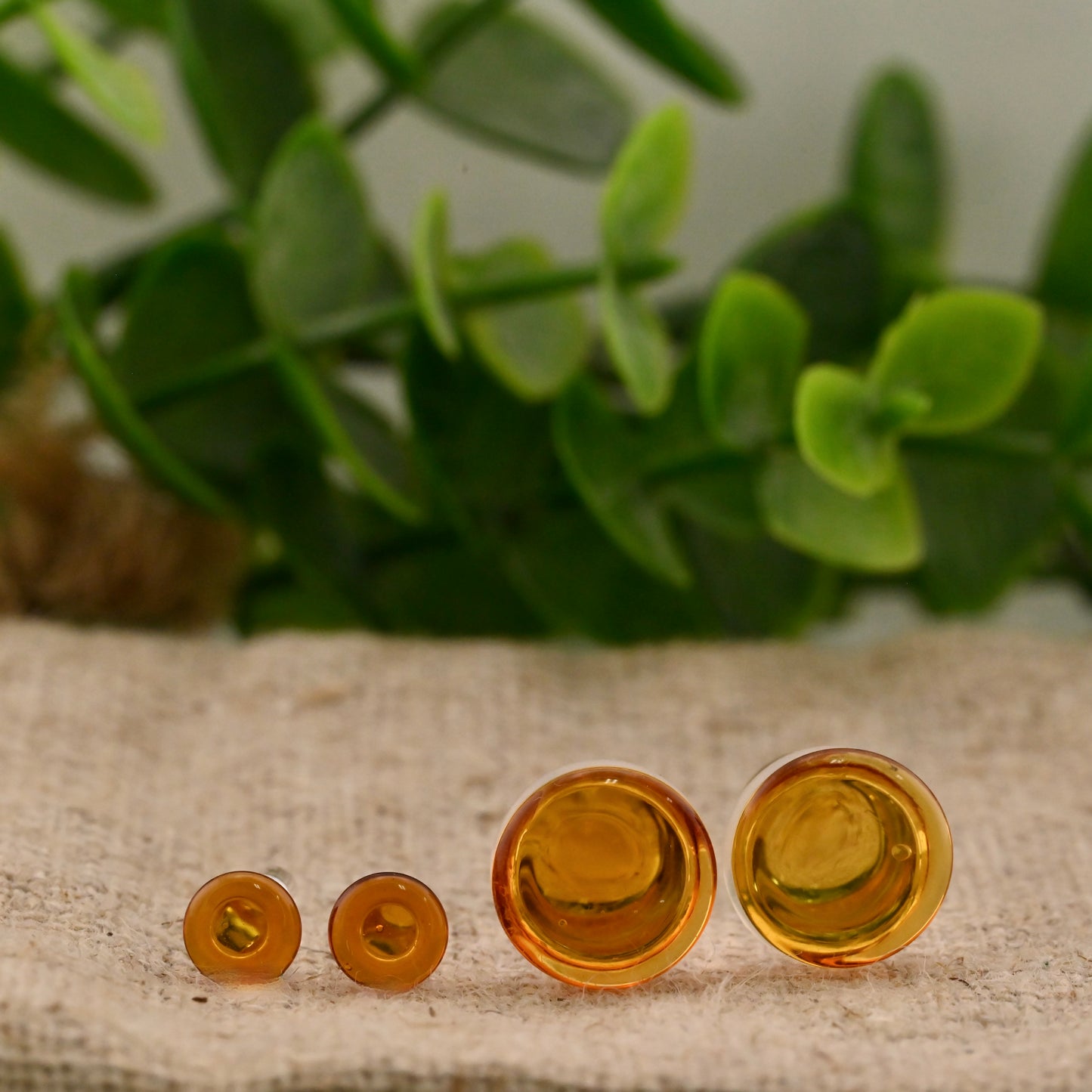 Single Flare Colorfront Plugs -  Pair