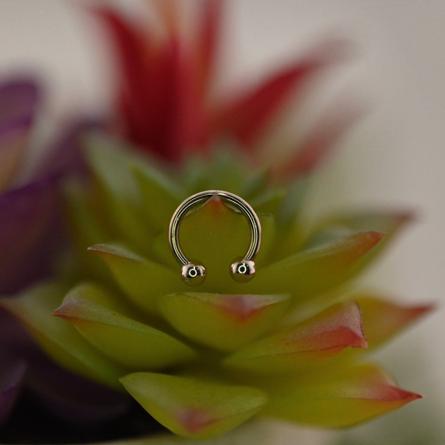 14K Gold Circular Barbell