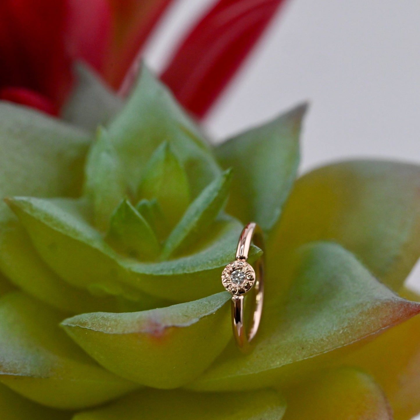 2.5mm Pave Circle Seam Ring - Agave in Bloom