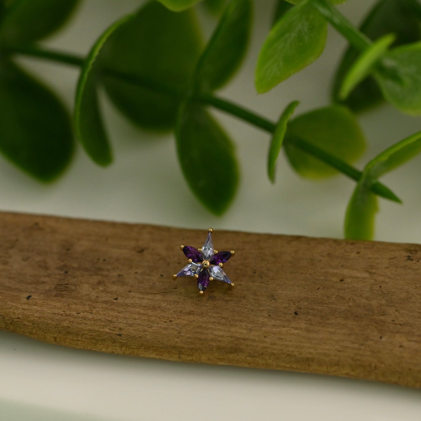 Tiny Stargazer