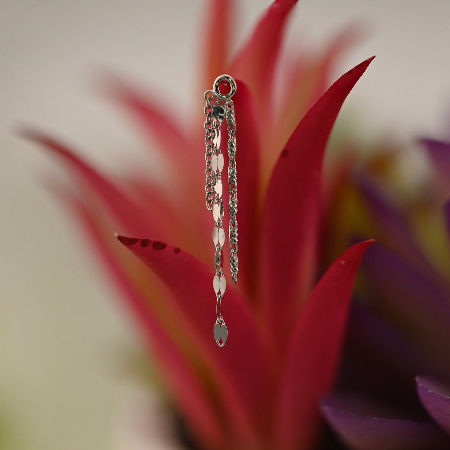 Cosmos Chain - Charm