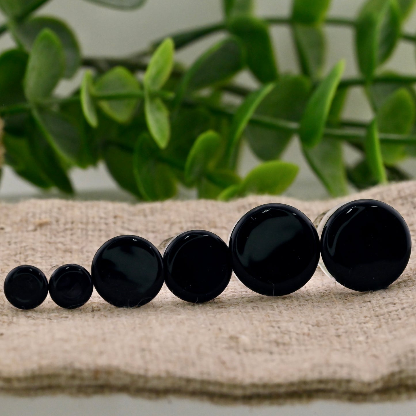 Single Flare Colorfront Plugs -  Pair