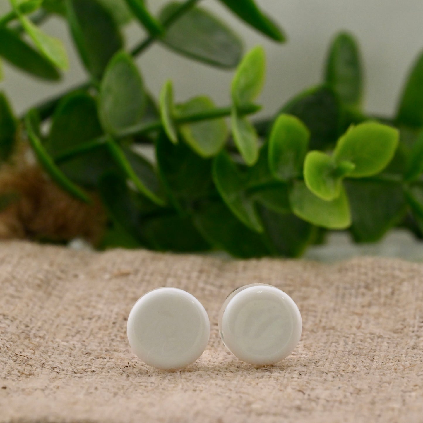 Single Flare Colorfront Plugs -  Pair