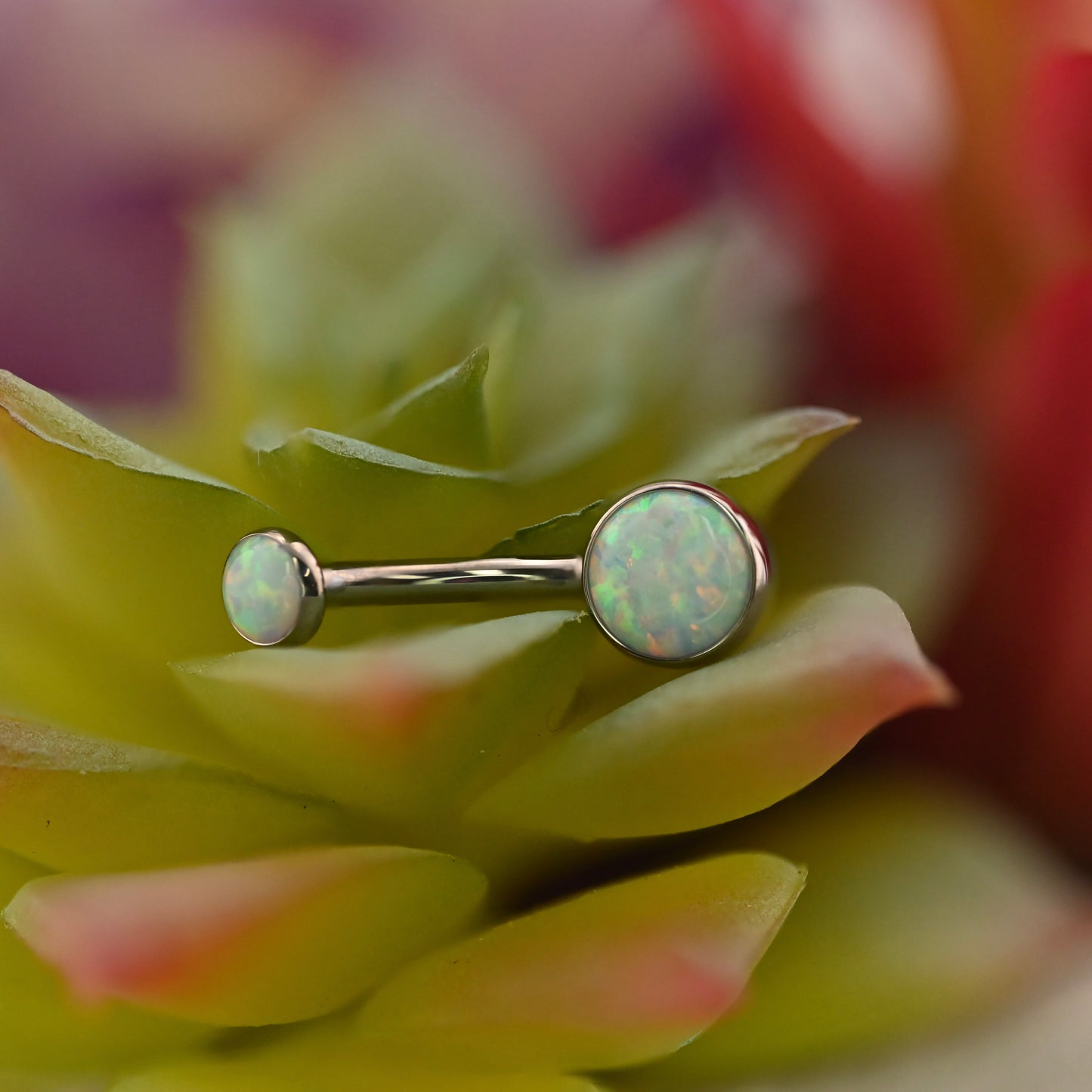 Titanium Bezel Navel Curve