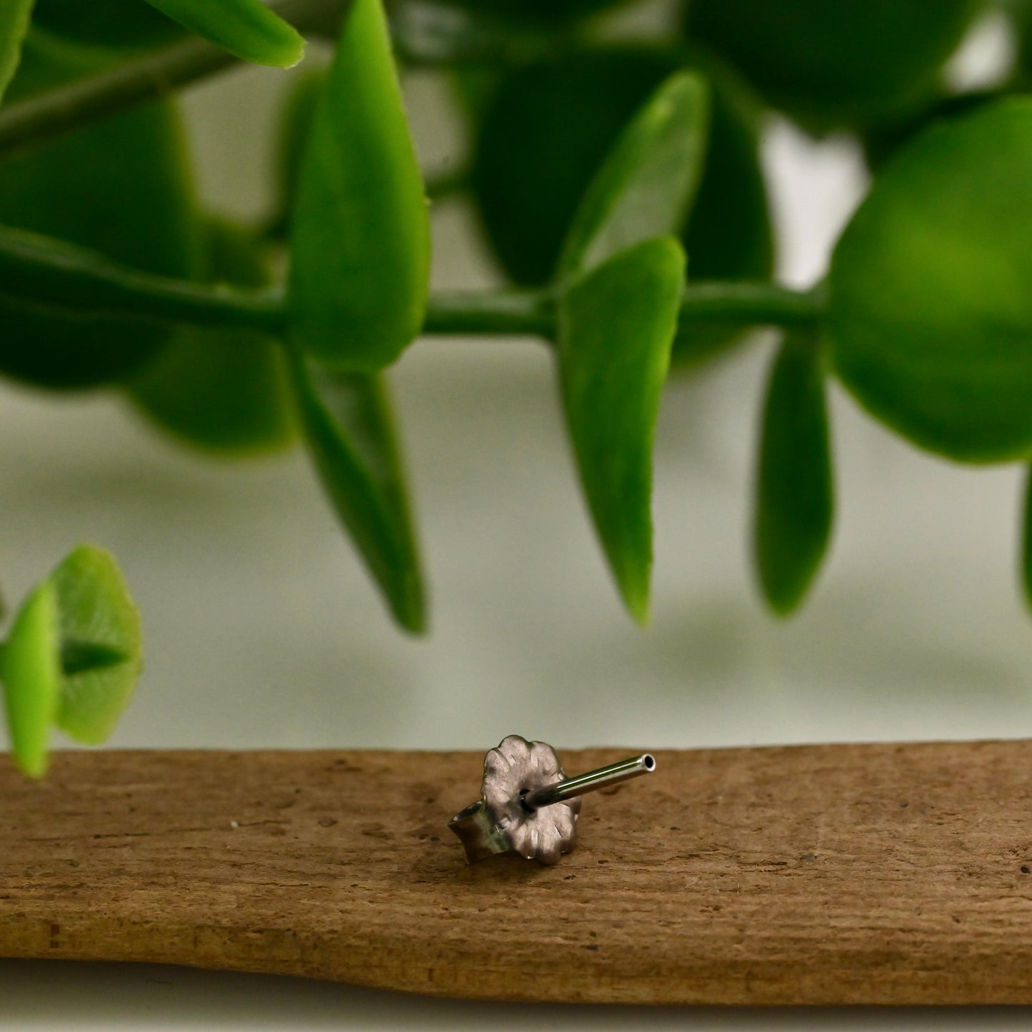 Standard earring adapter