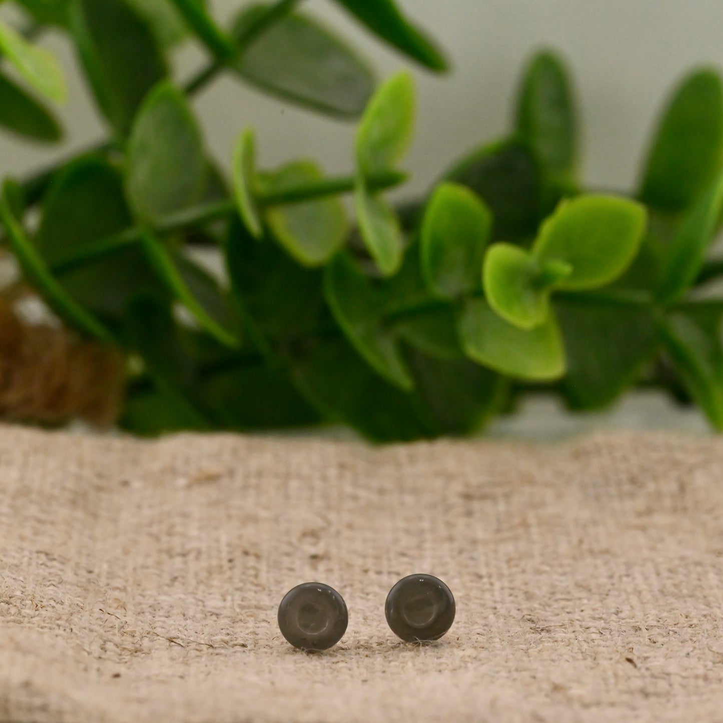 Single Flare Colorfront Plugs -  Pair