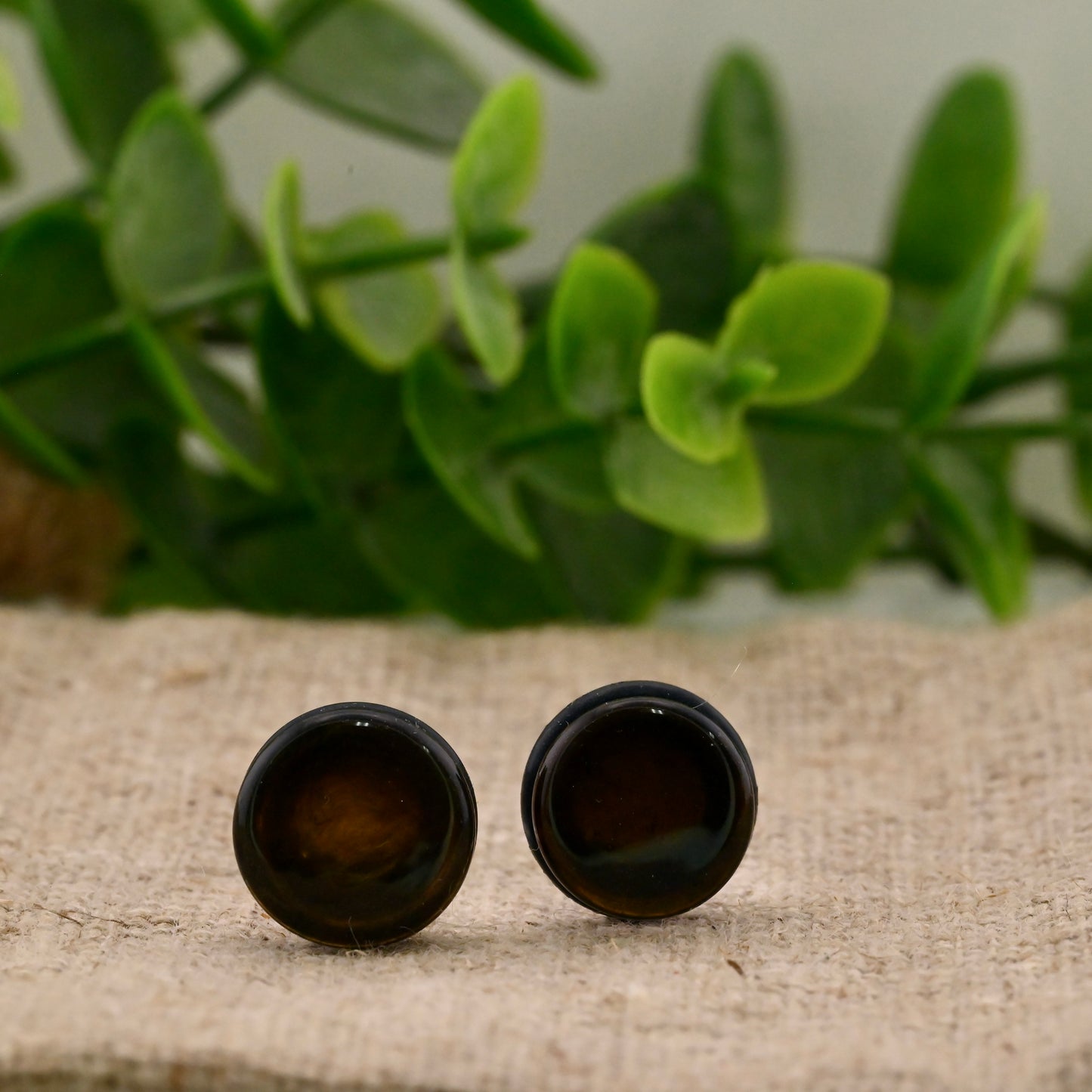 Single Flare Colorfront Plugs -  Pair