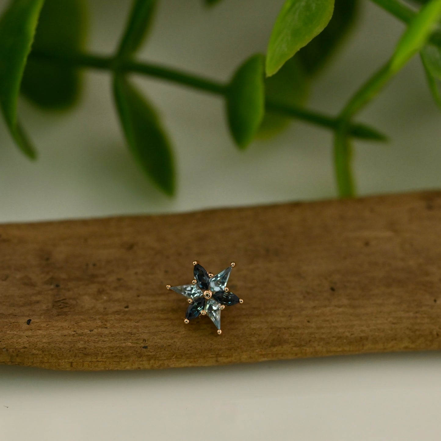 Tiny Stargazer