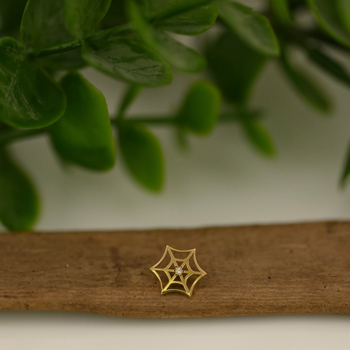 Spiderweb with Gem Center