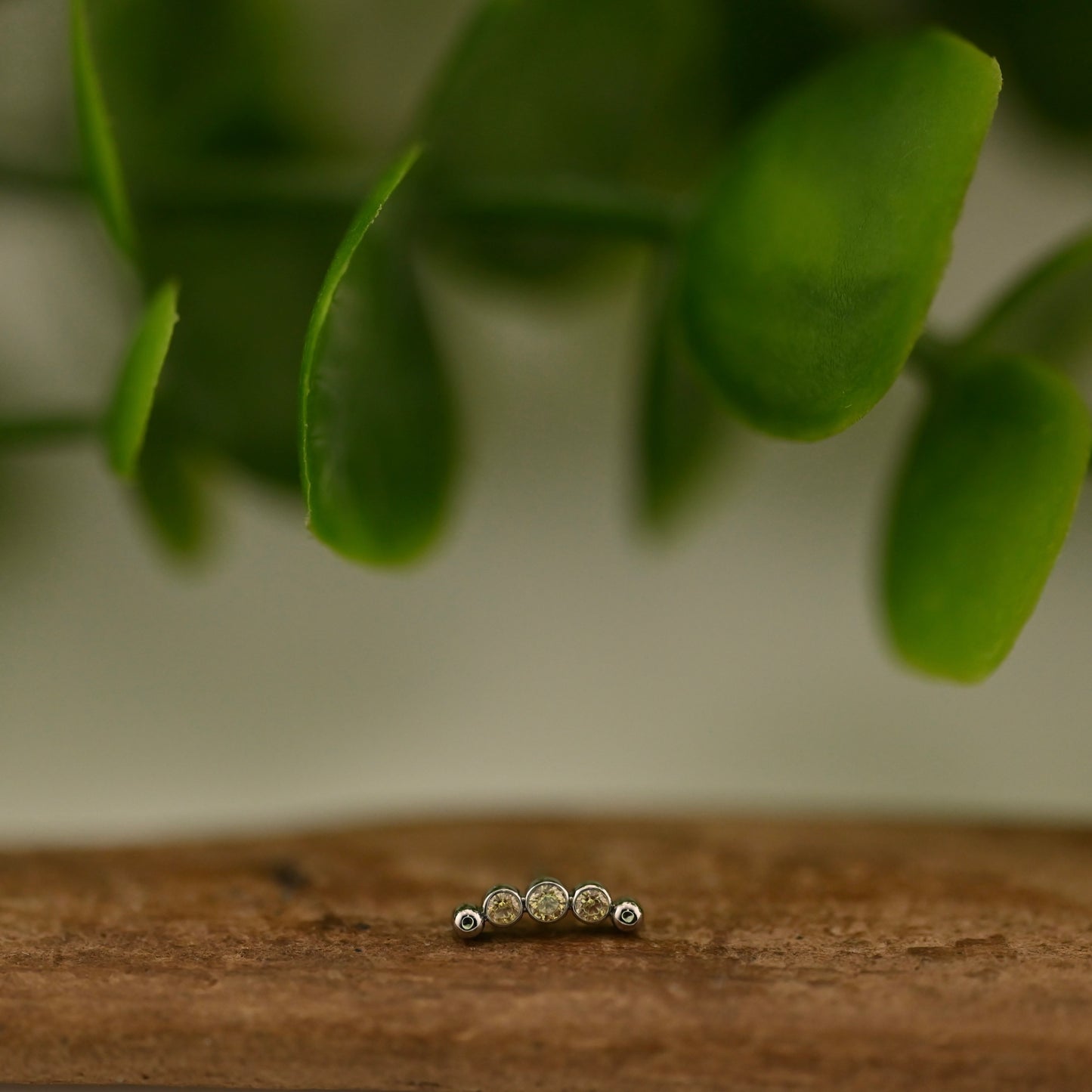 Titanium Accent Micro Curve