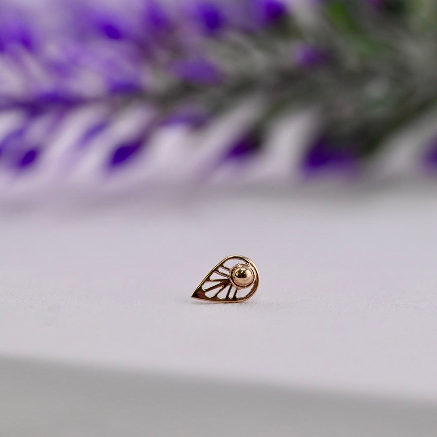 Flora