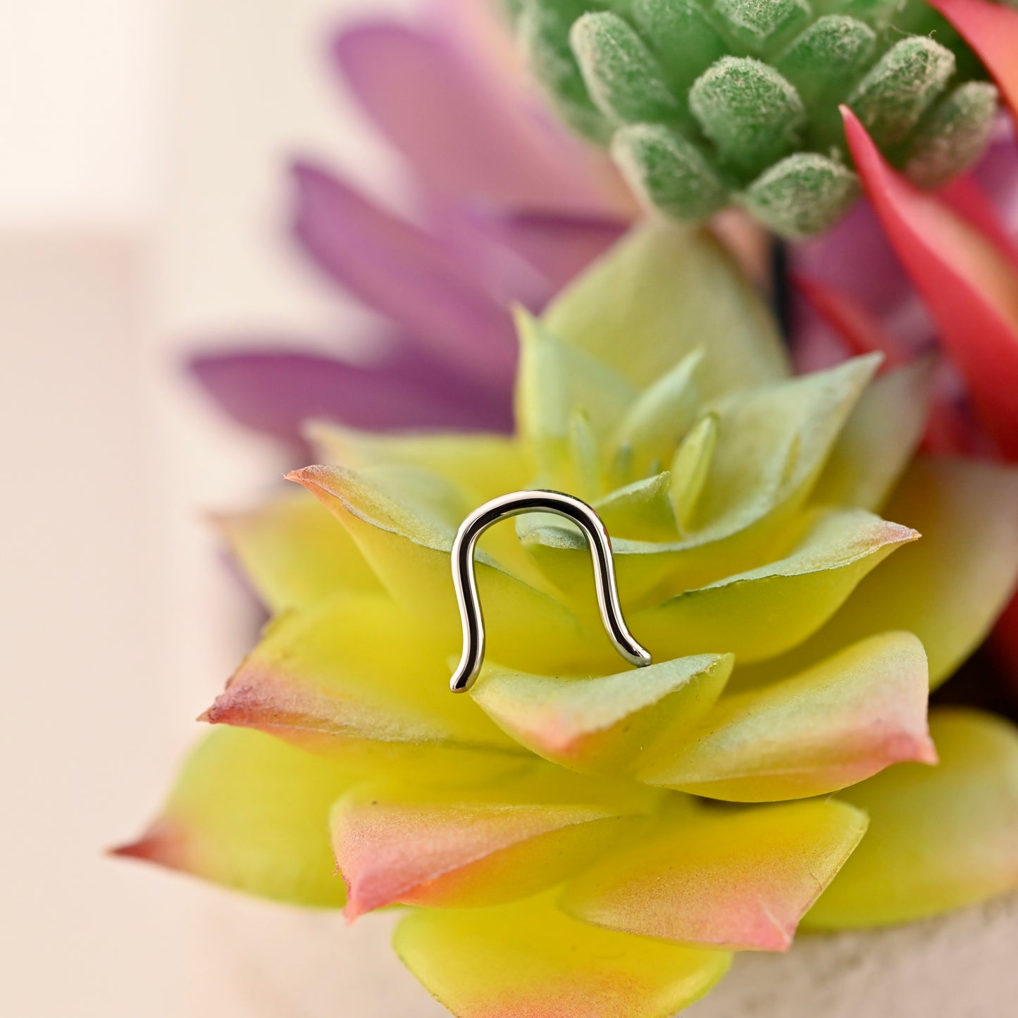 16g Septum Retainer