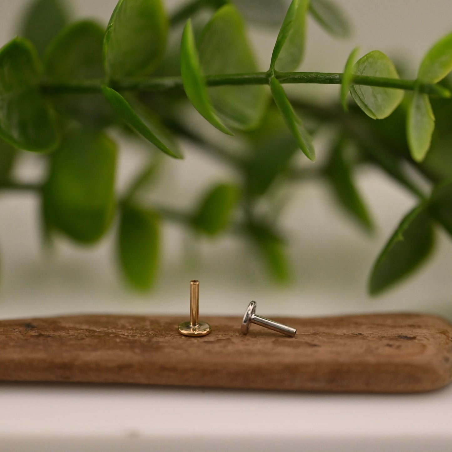 14K Gold Threaded Labret