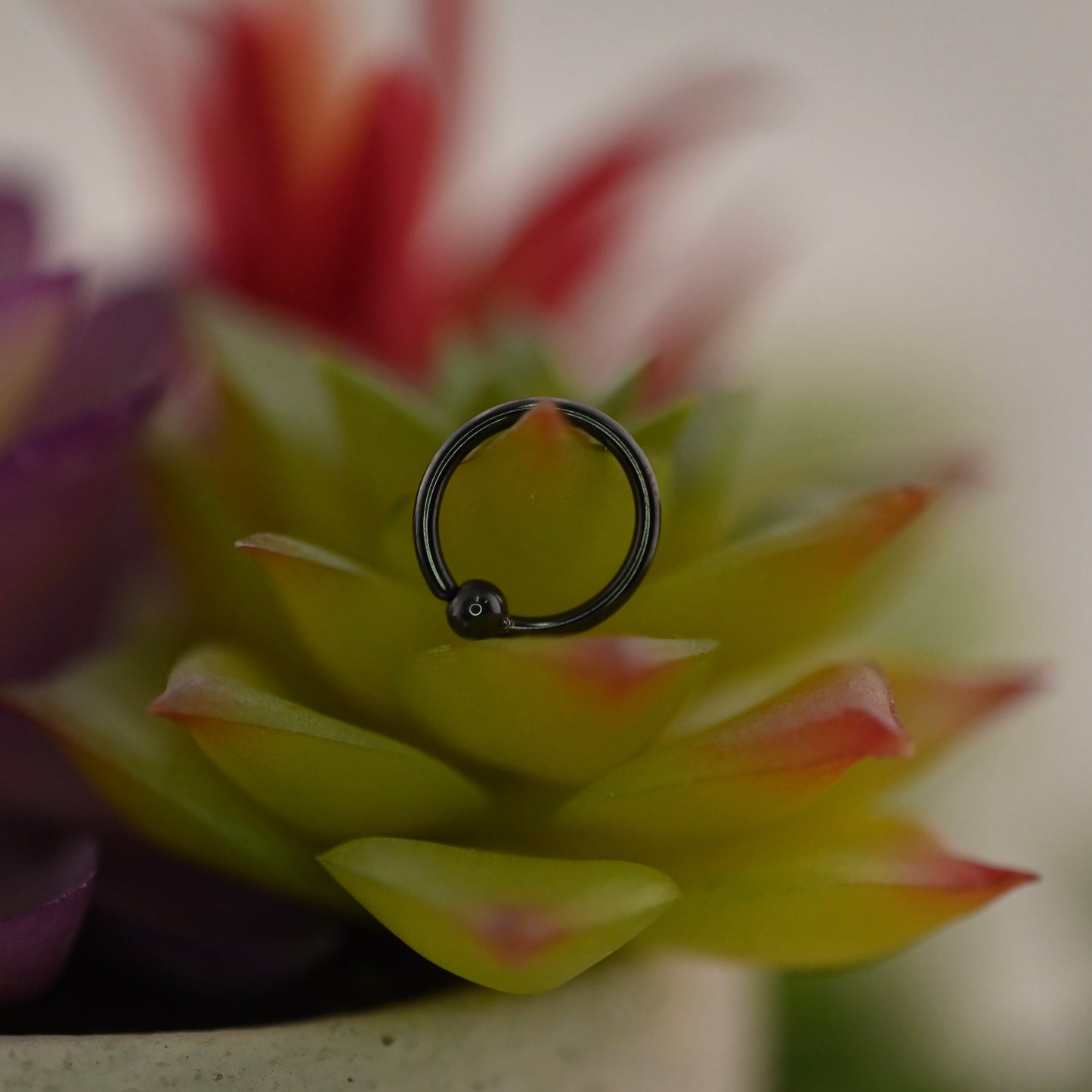 Black Niobium Fixed Bead Ring