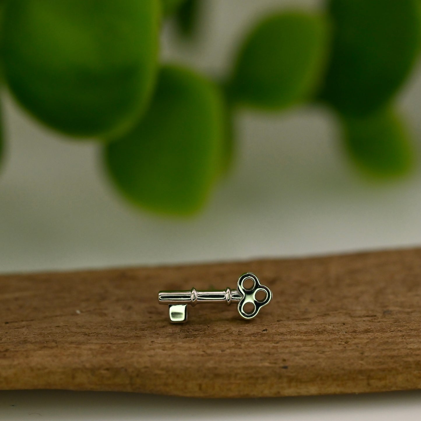 Tiny Skeleton Key