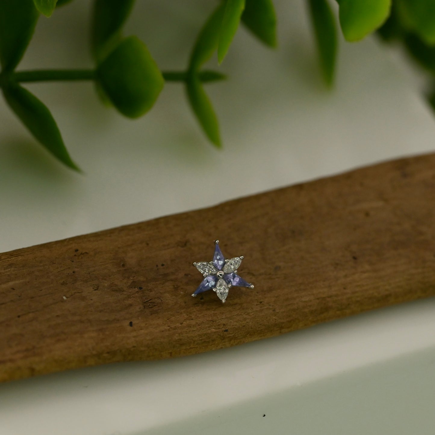 Tiny Stargazer