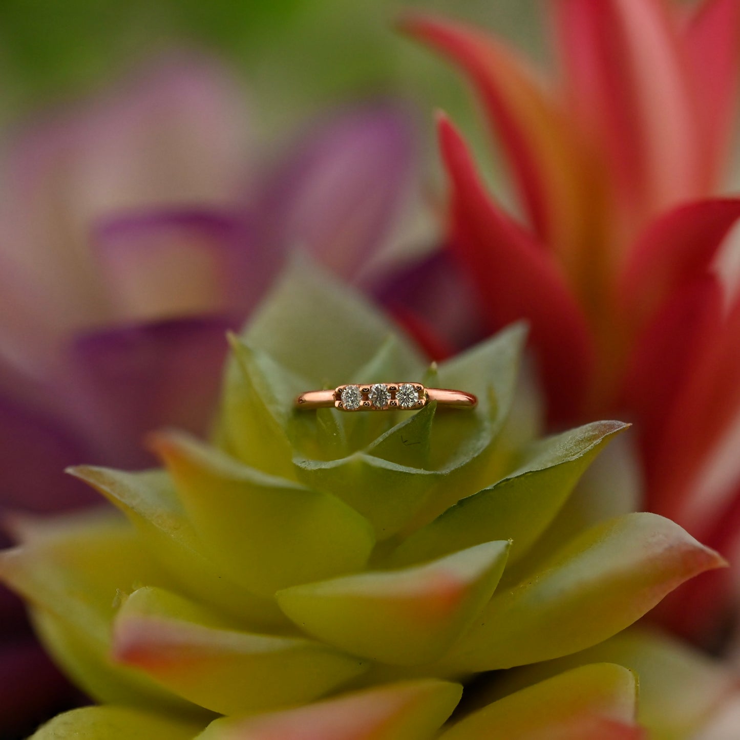 3 Gem Blaze Fixed Ring - Navel Orientation - 1.5mm Gemstones