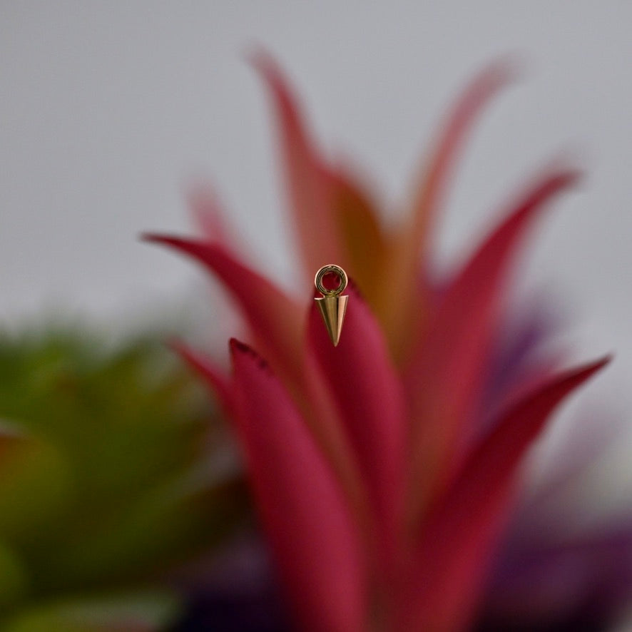 Spike Charm