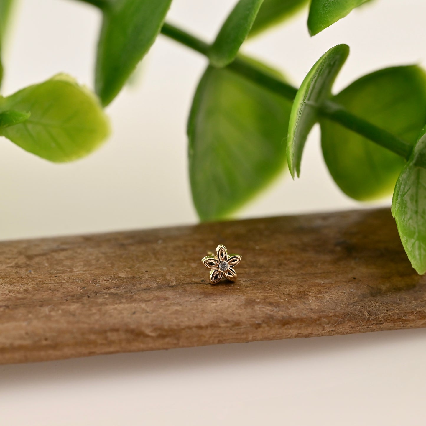 Tiny Hibiscus Flower