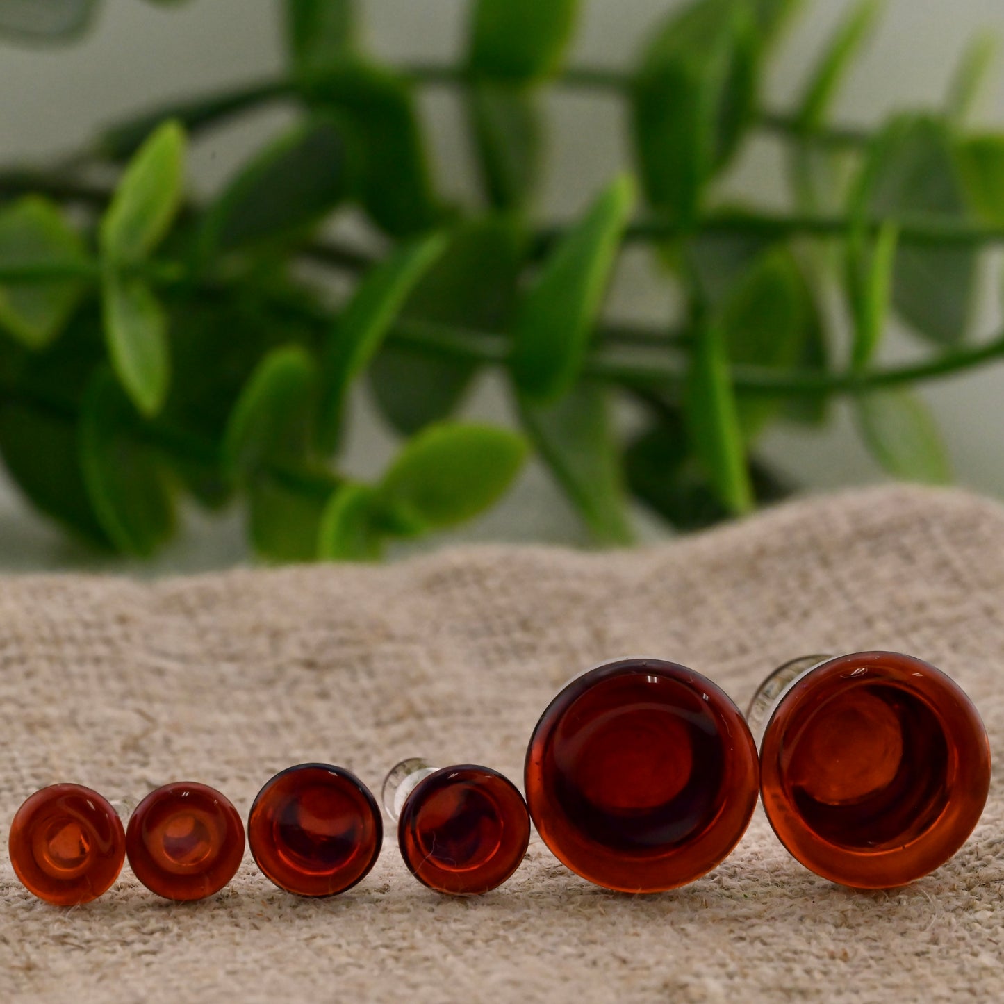 Single Flare Colorfront Plugs -  Pair