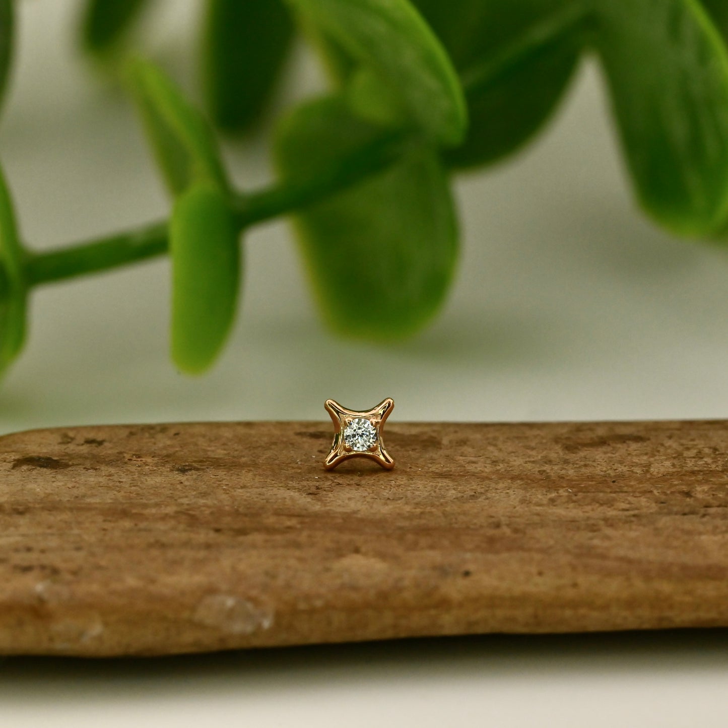 18K Gold Hajduk