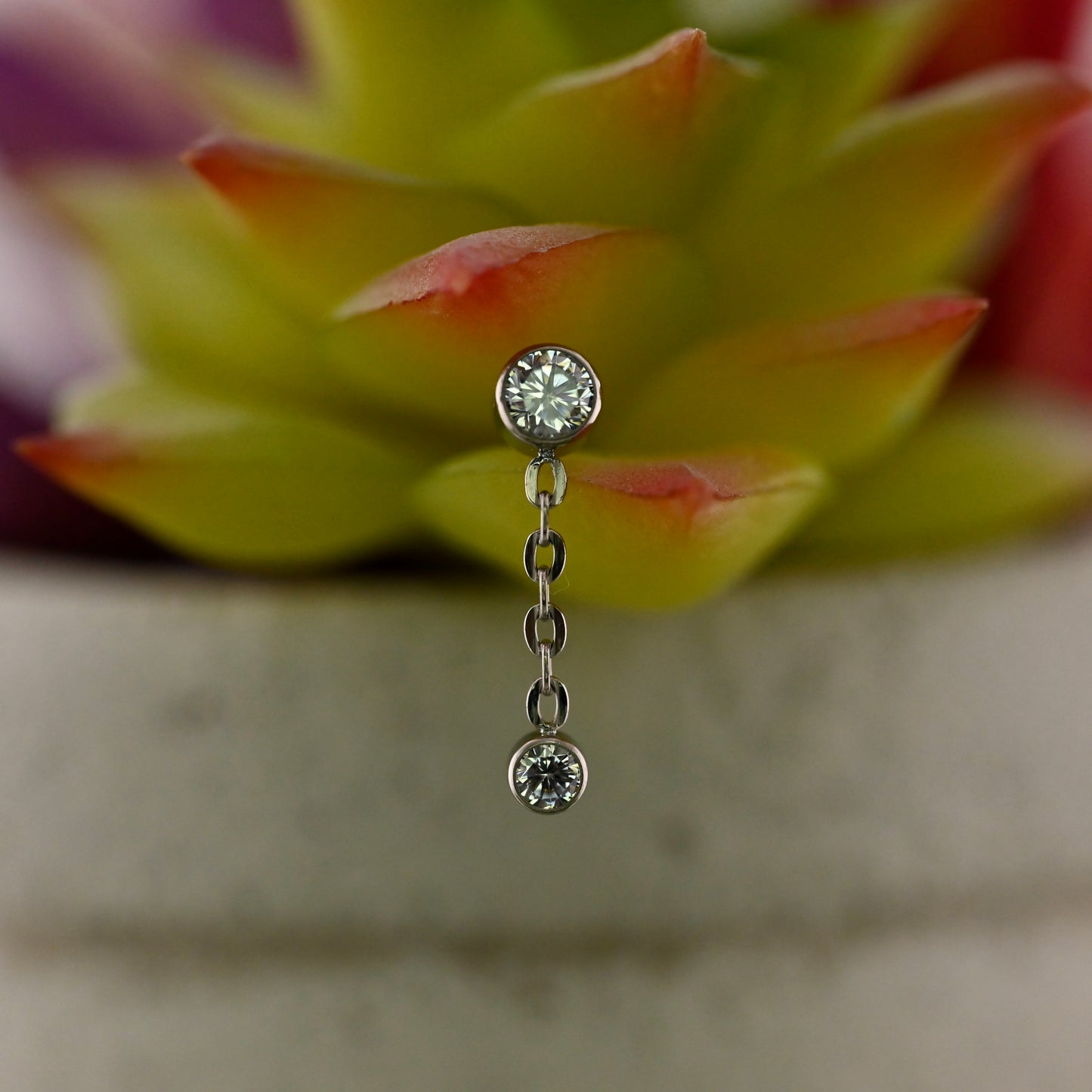 Titanium Double Bezel Dangle