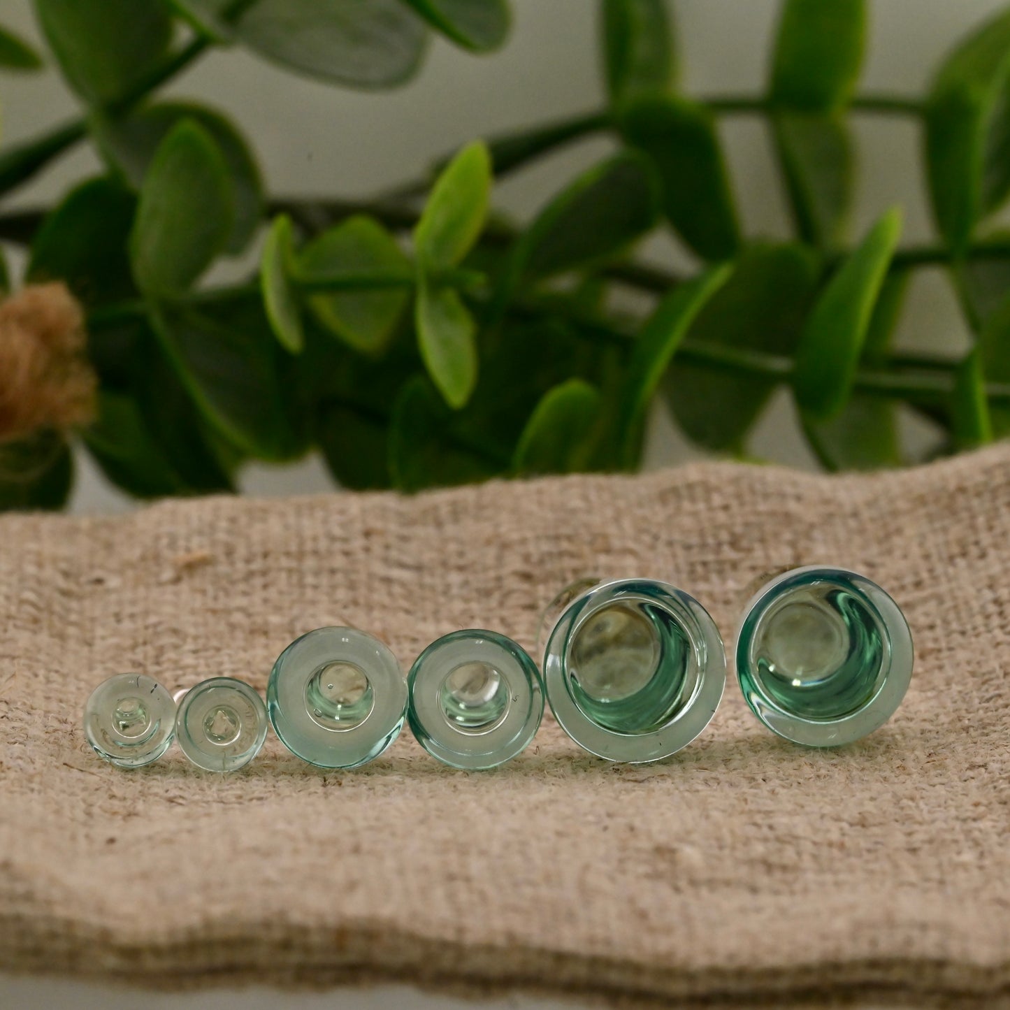 Single Flare Colorfront Plugs -  Pair