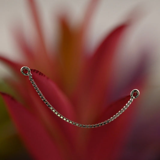 Alexas Box Chain Attachment