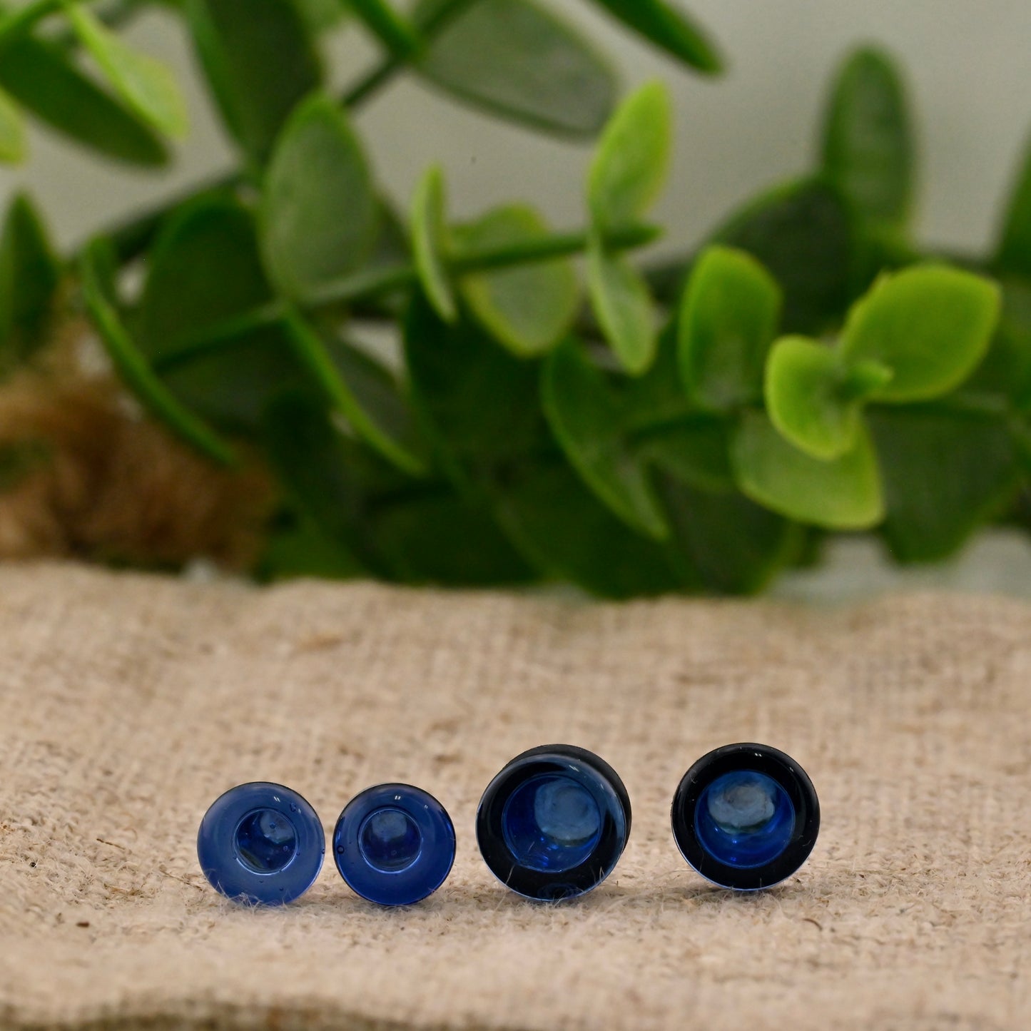 Single Flare Colorfront Plugs -  Pair