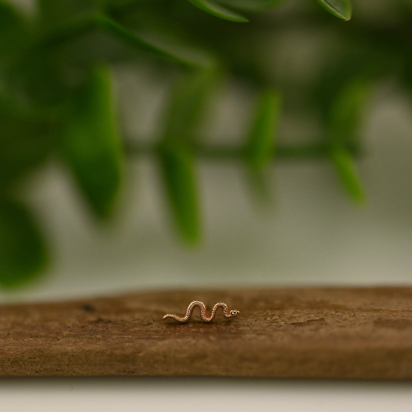 Tiny Delicate Snake