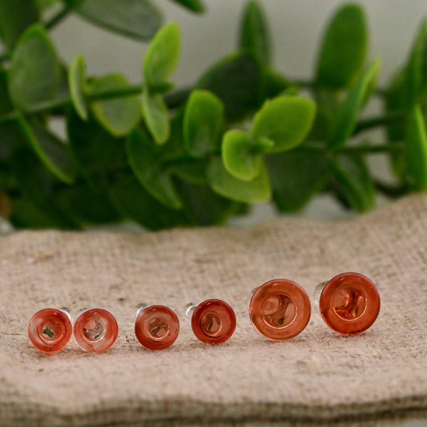 Single Flare Colorfront Plugs -  Pair