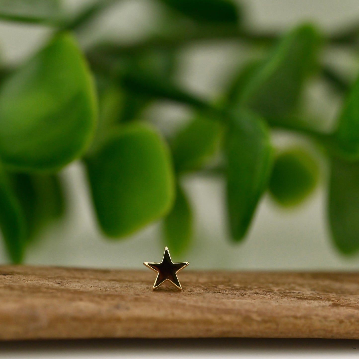 Flat Star 4.5mm