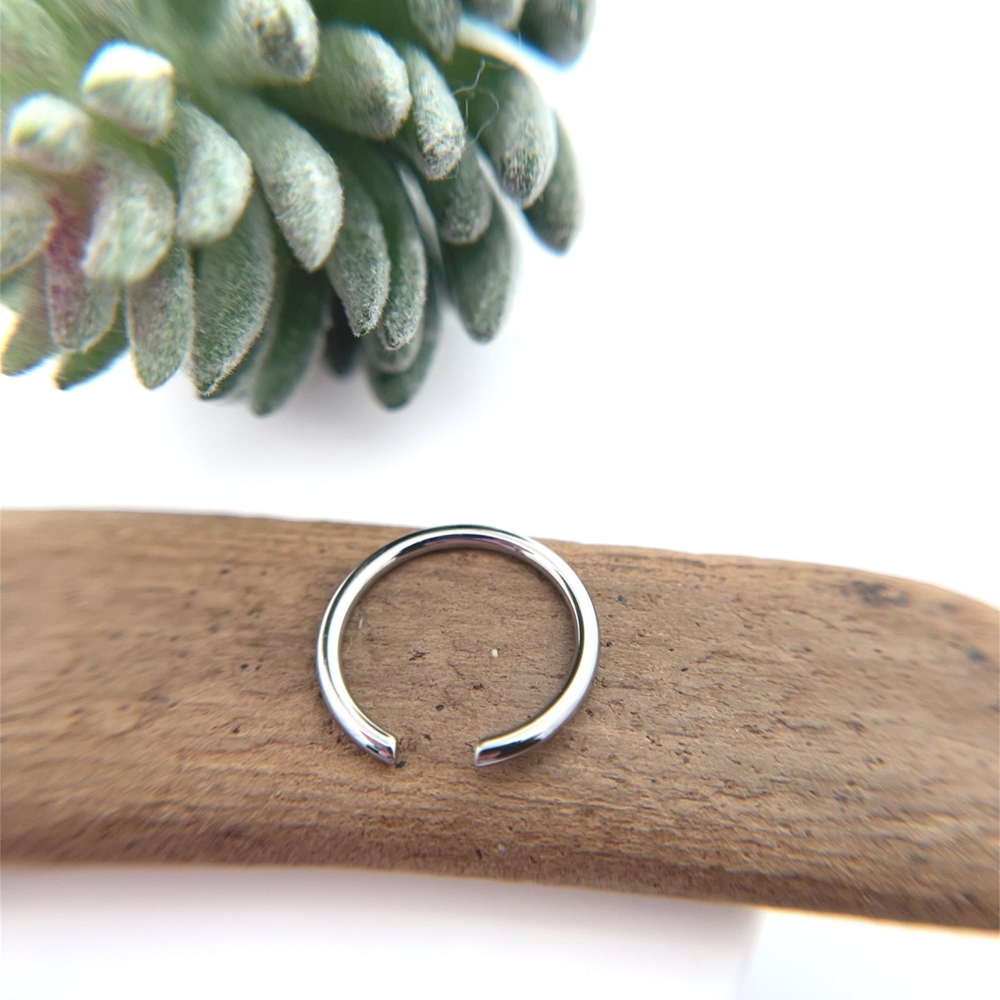 Niobium Captive Bead Ring Only
