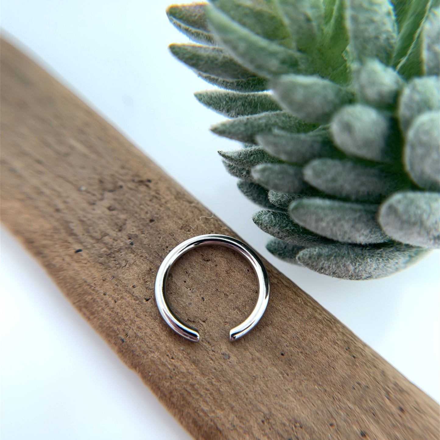 Niobium Captive Bead Ring Only