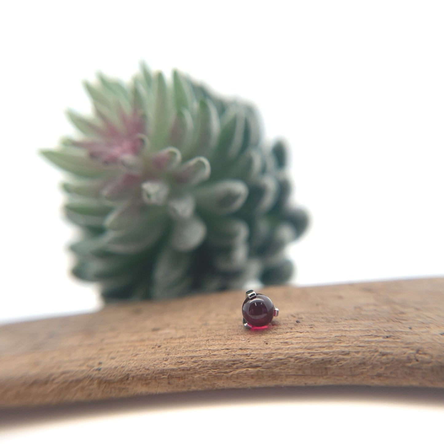 3mm Titanium Claw Set Orb Gems