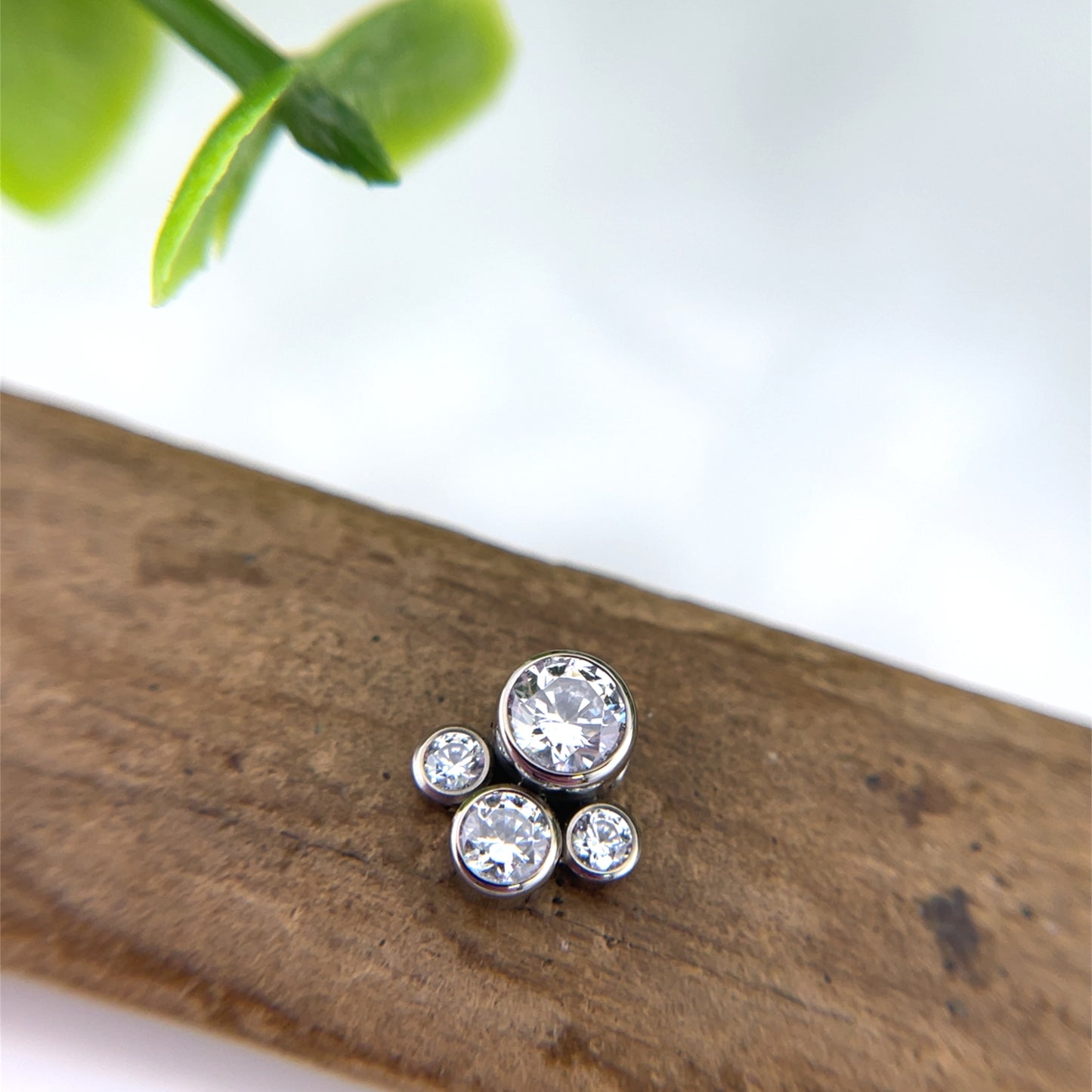 Titanium 4 Gem Captive Cluster