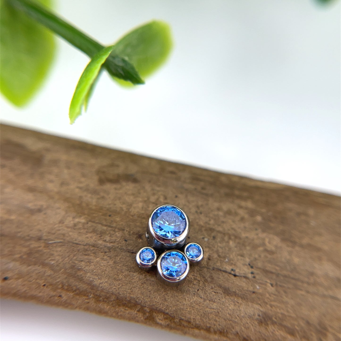 Titanium 4 Gem Captive Cluster