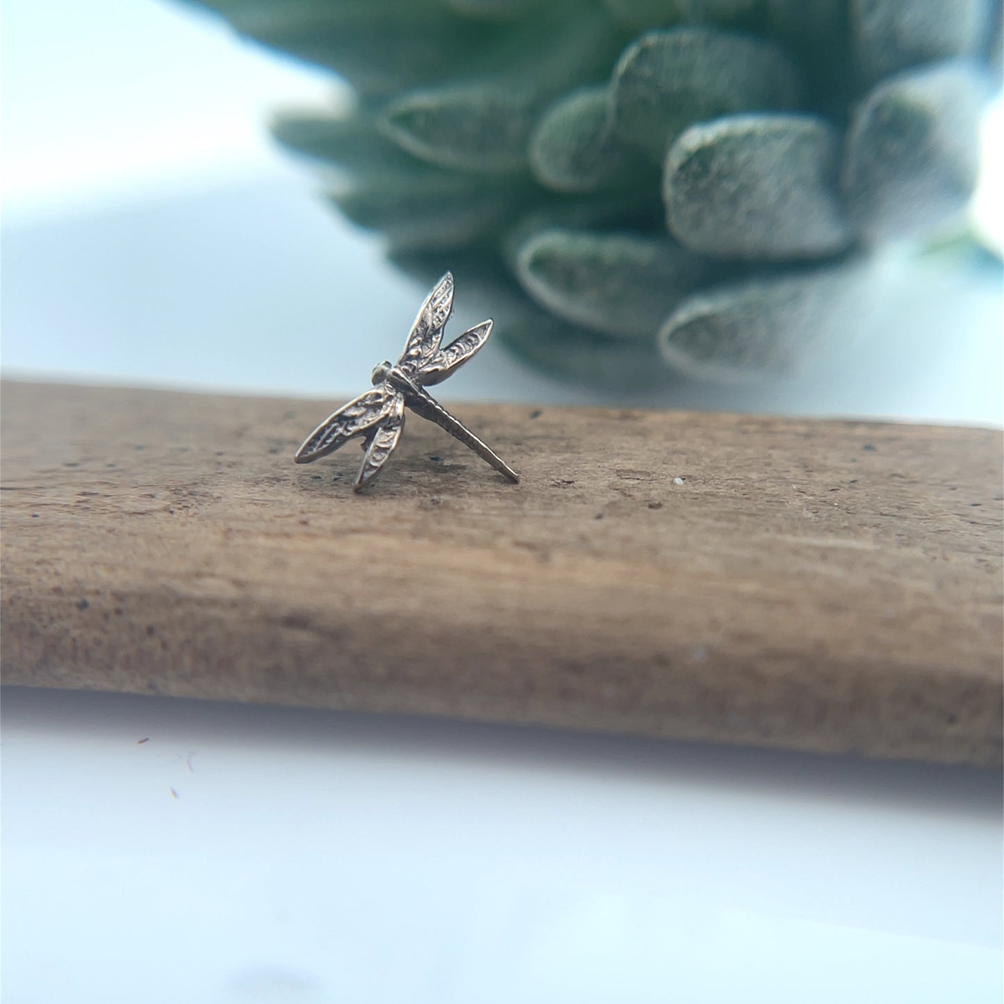 Dragon Fly