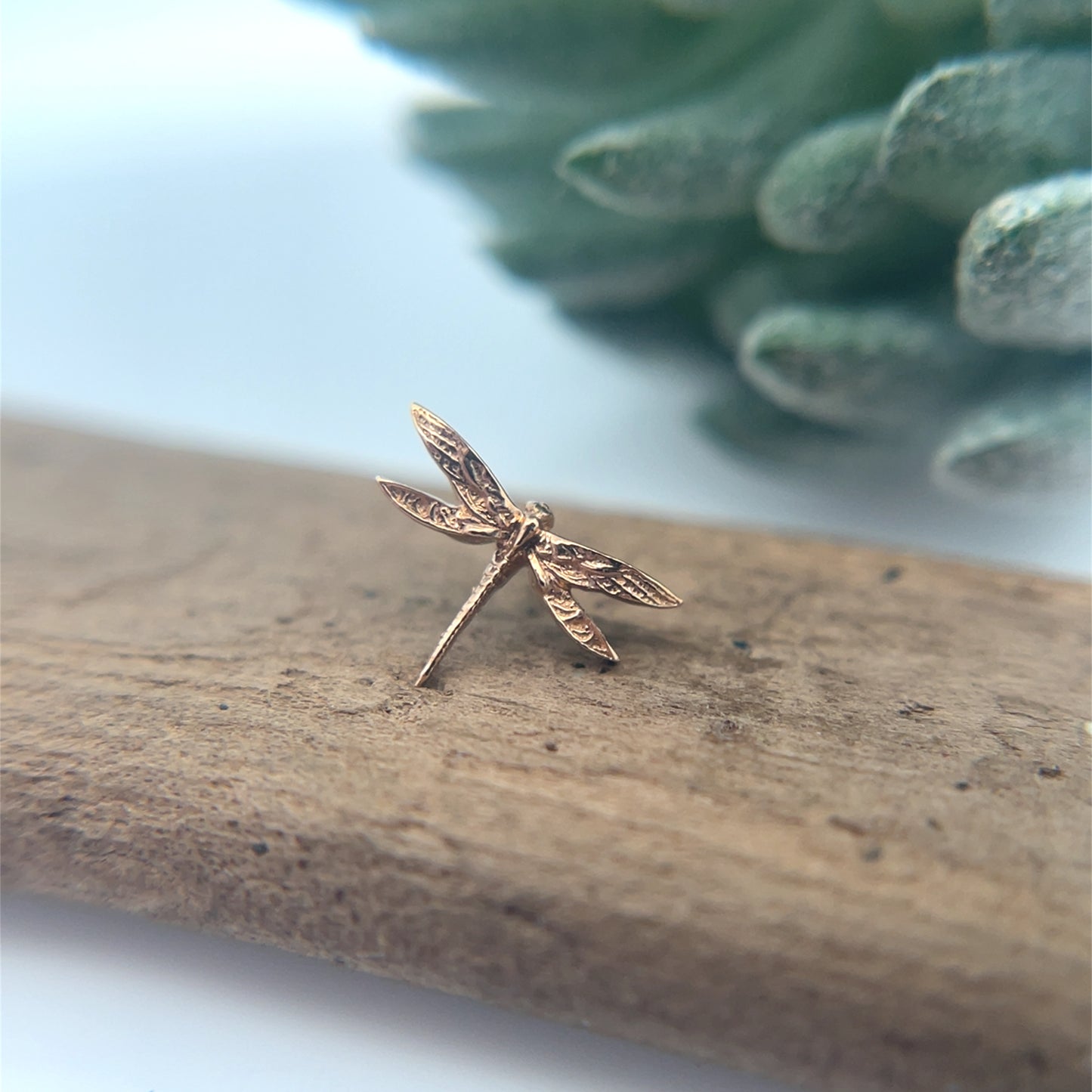 Dragon Fly