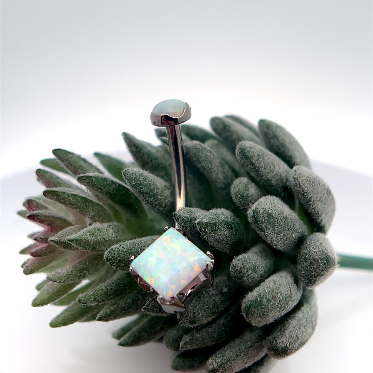 Titanium Square Cut Navel Curve