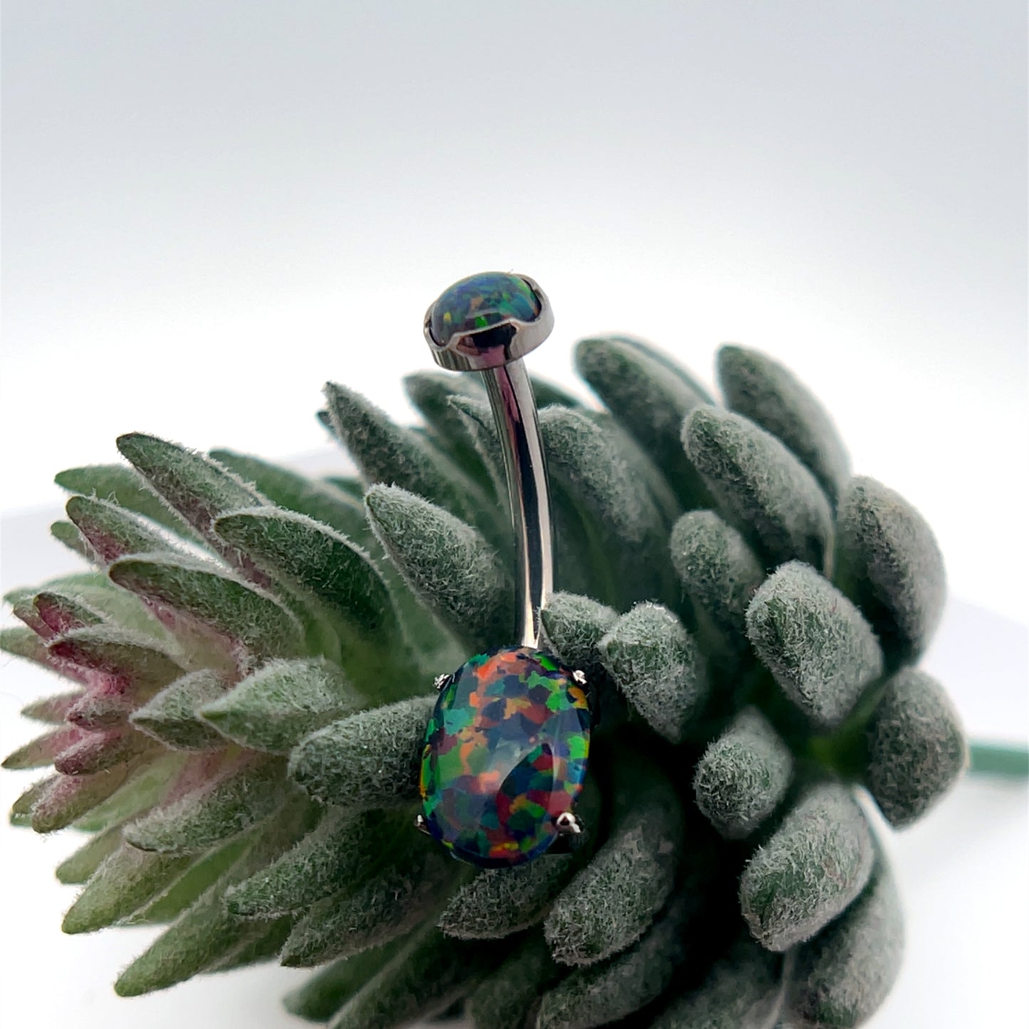 Titanium Oval Navel Curve