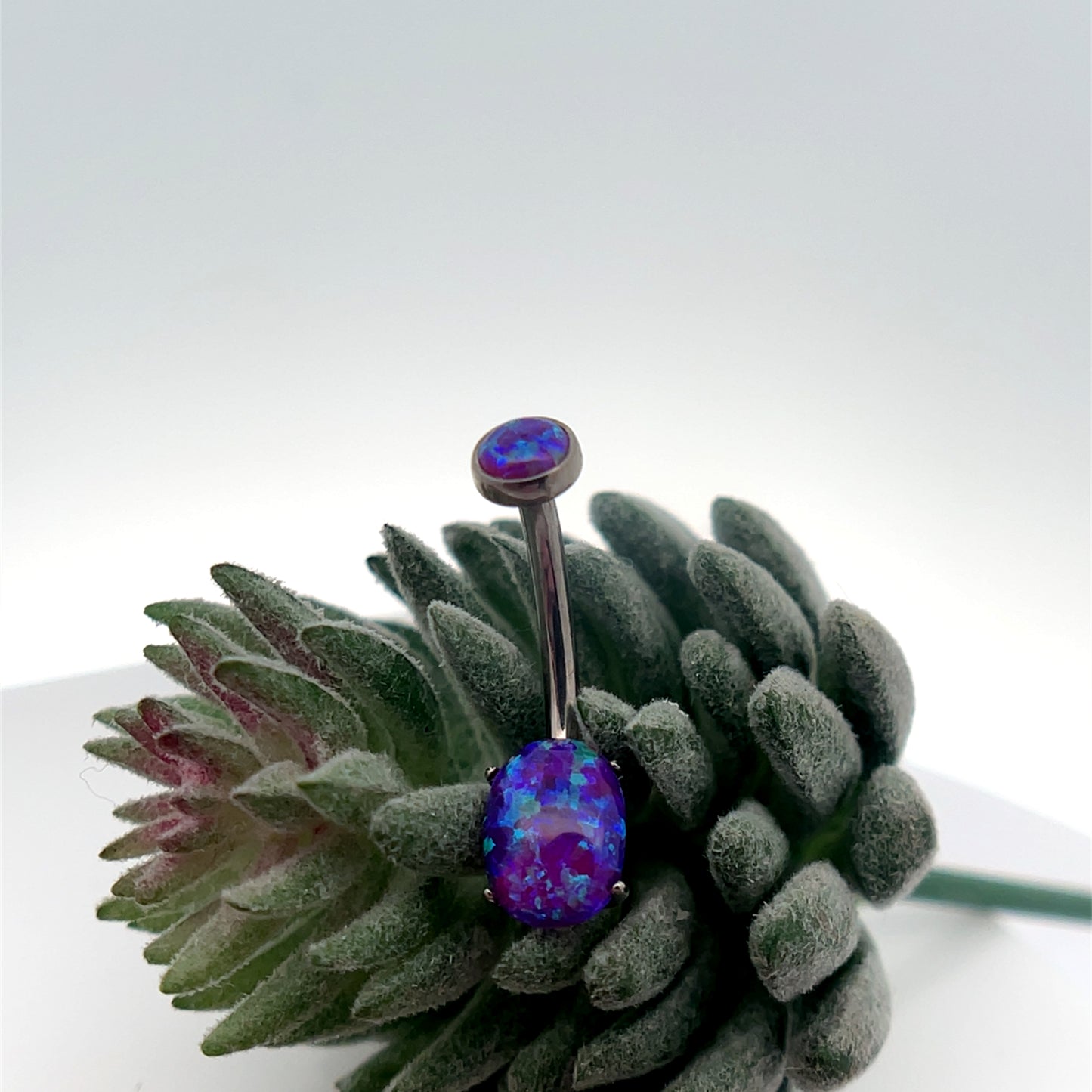 Titanium Oval Navel Curve
