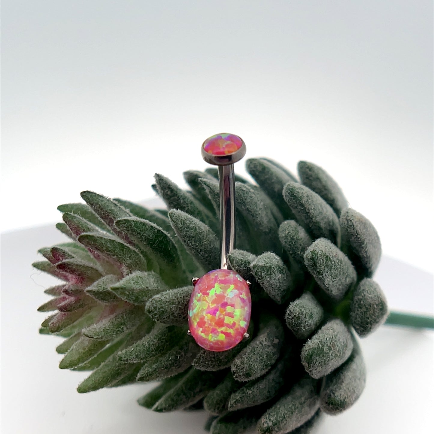 Titanium Oval Navel Curve